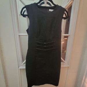 Zara Bodycon Sleeveless Dress Career Minimalist Office